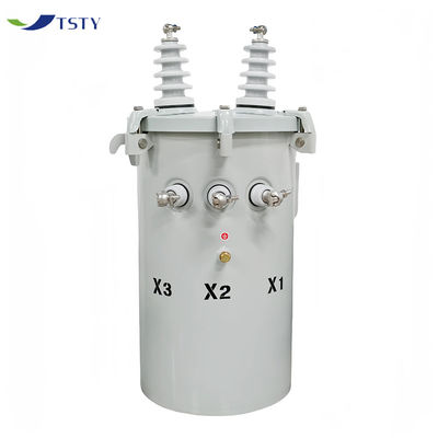 Direkt 14,4kv 100kva Einphasentransformator mit geringem Verlust für Stromverteilsysteme